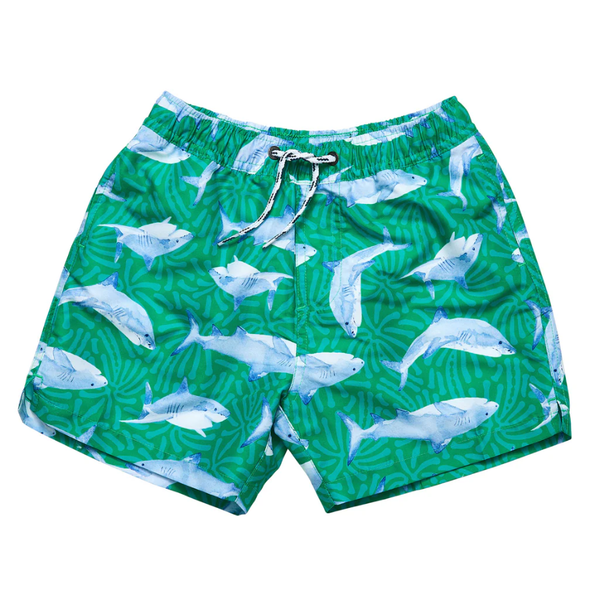 Snapper Rock Swim Shorts B90125 - Reef Shark