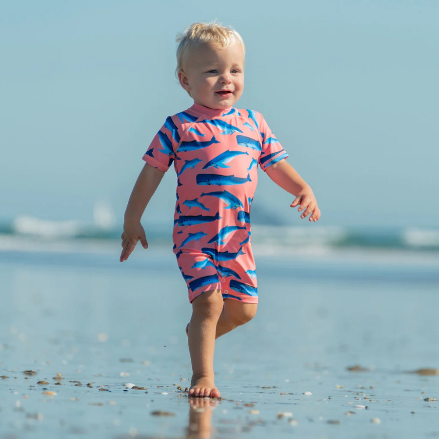 Snapper Rock Whale Tail Short Sleeve Sunsuit B70832S - Peach